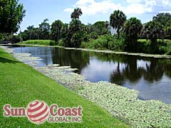 Cocohatchee Club View of Water